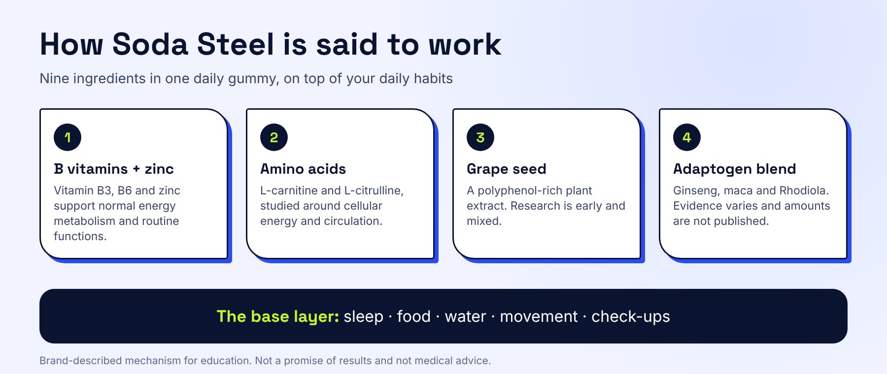 Infographic: the daily energy stack. Soda Steel is said to work through B vitamins and zinc, amino-acid compounds, grape seed extract and an adaptogen blend, with sleep, food, water and movement as the baseline